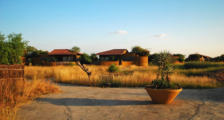 The Black Buck Lodge, Bhavnagar 2